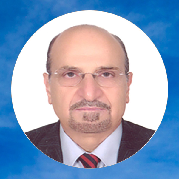 المهندس ممدوح غنم